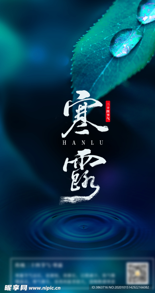 寒露节气稿