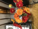 太阳花