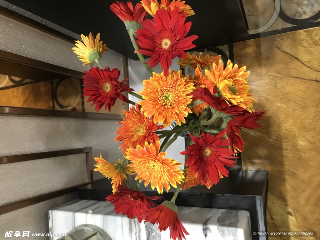 太阳花