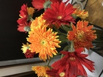 太阳花