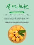 枇杷海报