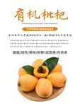 枇杷海报