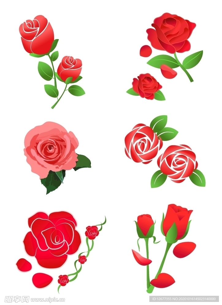 玫瑰花矢量图