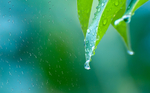 水珠