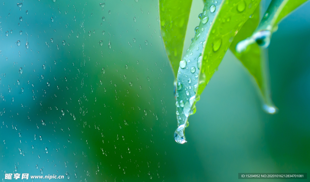 水珠
