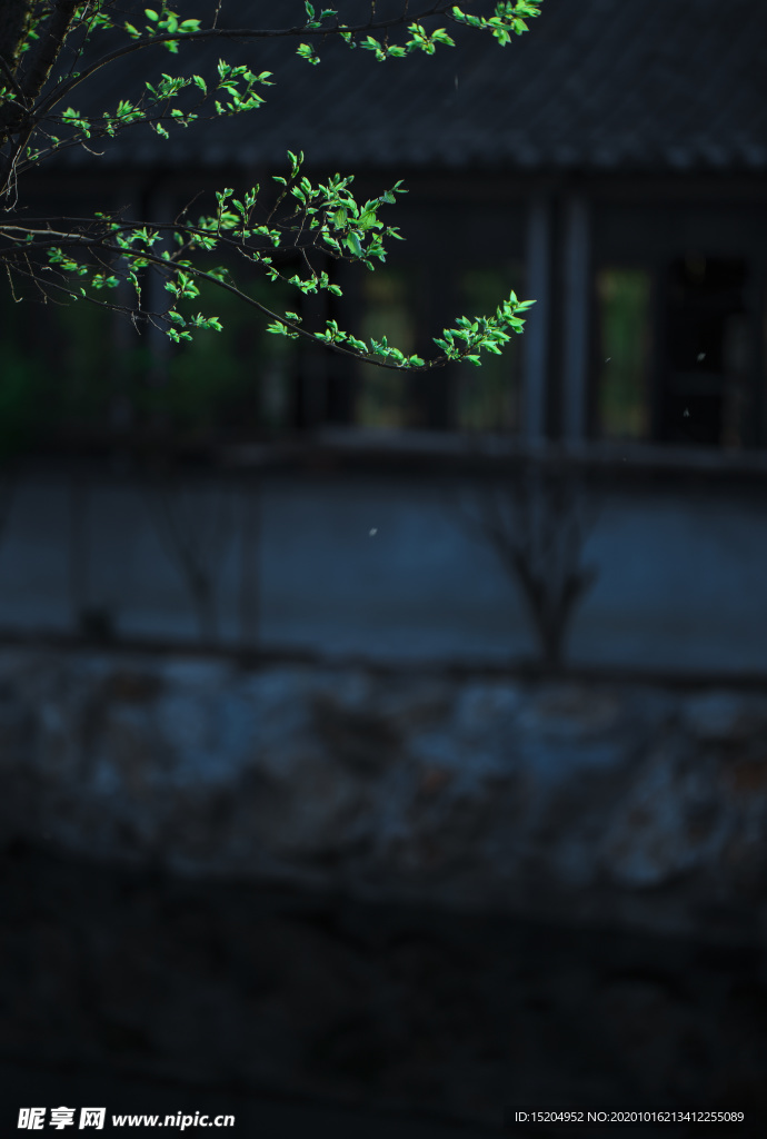 壁纸