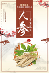 大气简约中医人参海报