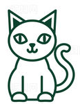 猫咪