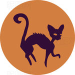 野猫
