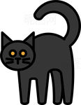 野猫