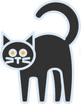 野猫