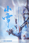 小雪
