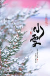 小雪
