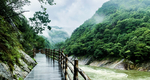 雨后峡谷栈道