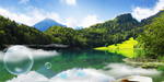 水池