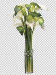 透明底花艺 绿植 摆件 桌花