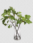 透明底花艺 绿植 摆件 桌花