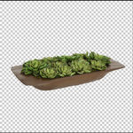 透明底花艺 绿植 摆件 桌花