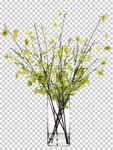 透明底花艺 绿植 摆件 桌花