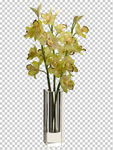 透明底花艺 绿植 摆件 桌花