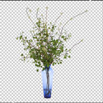 花艺 免抠图 桌花 摆件 透明