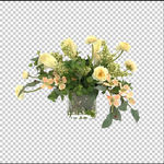 花艺 免抠图 桌花 摆件 透明