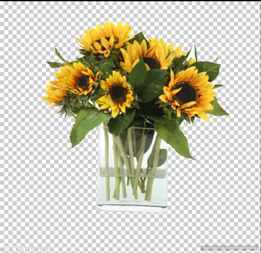 桌花 摆件 透明底花艺 绿植