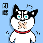 哈小齐