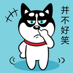 哈小齐
