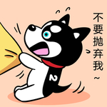 哈小齐