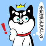 哈小齐