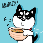 哈小齐
