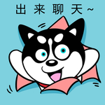 哈小齐
