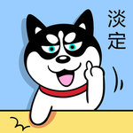 哈小齐