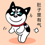 哈小齐