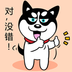 哈小齐