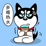 哈小齐