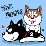 哈小齐