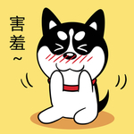 哈小齐