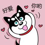 哈小齐