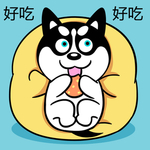 哈小齐