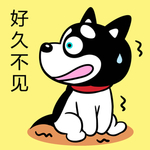 哈小齐
