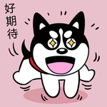 哈小齐
