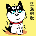 哈小齐