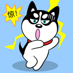 哈小齐