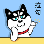 哈小齐