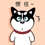 哈小齐
