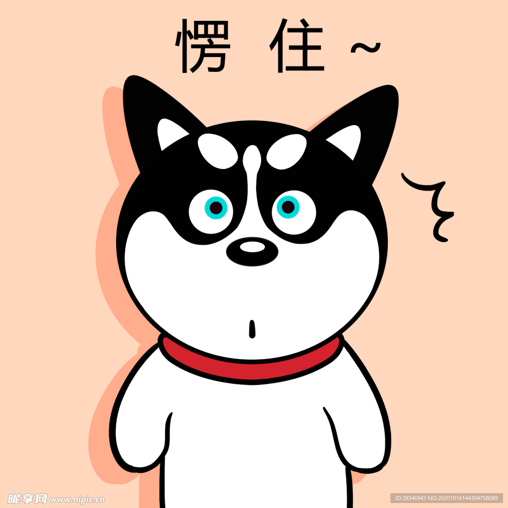 哈小齐