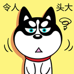 哈小齐