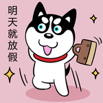 哈小齐